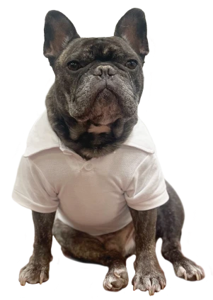 kilo-cutout