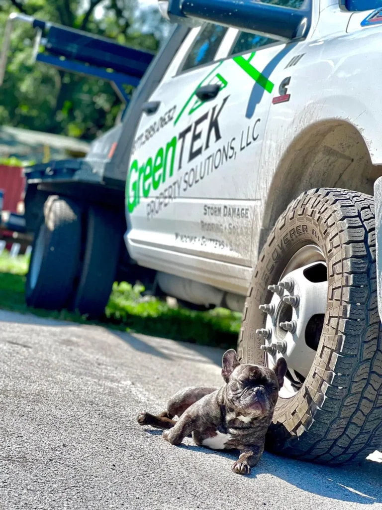 A small black and white French Bulldog lies on pavement in the sun, leaning against the front tire of a white GreenTEK Property Solutions, LLC truck. The truck and dog are outdoors on a clear day.