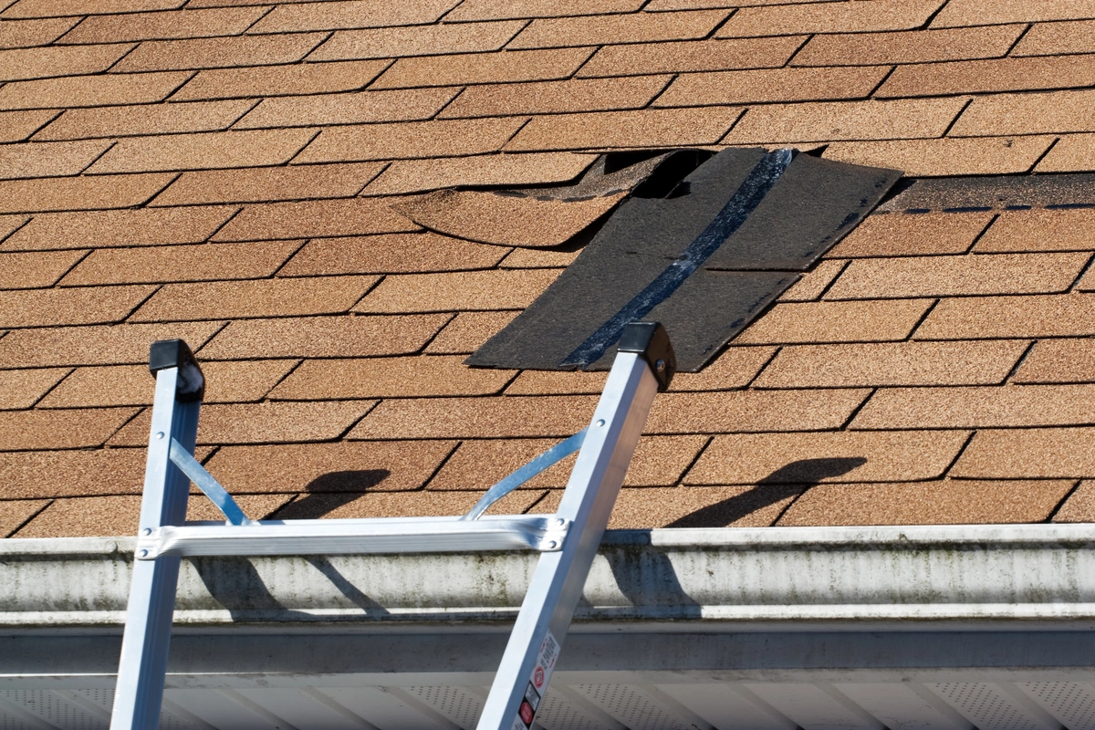 ladder and missing asphalt shingles