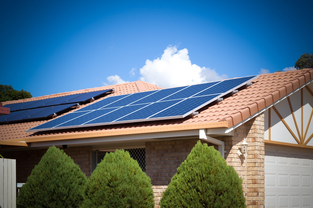 solar panels and trees