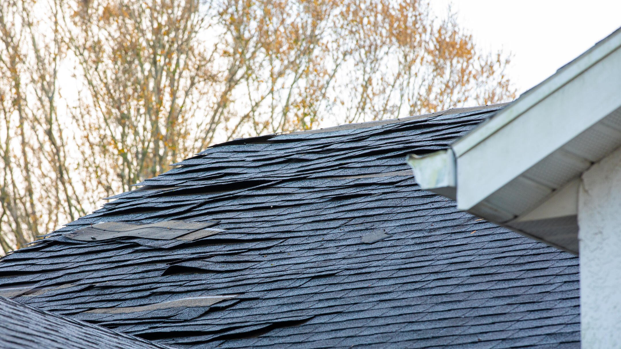 will insurance cover a 20 year-old roof-curling and missing shingles on old roof