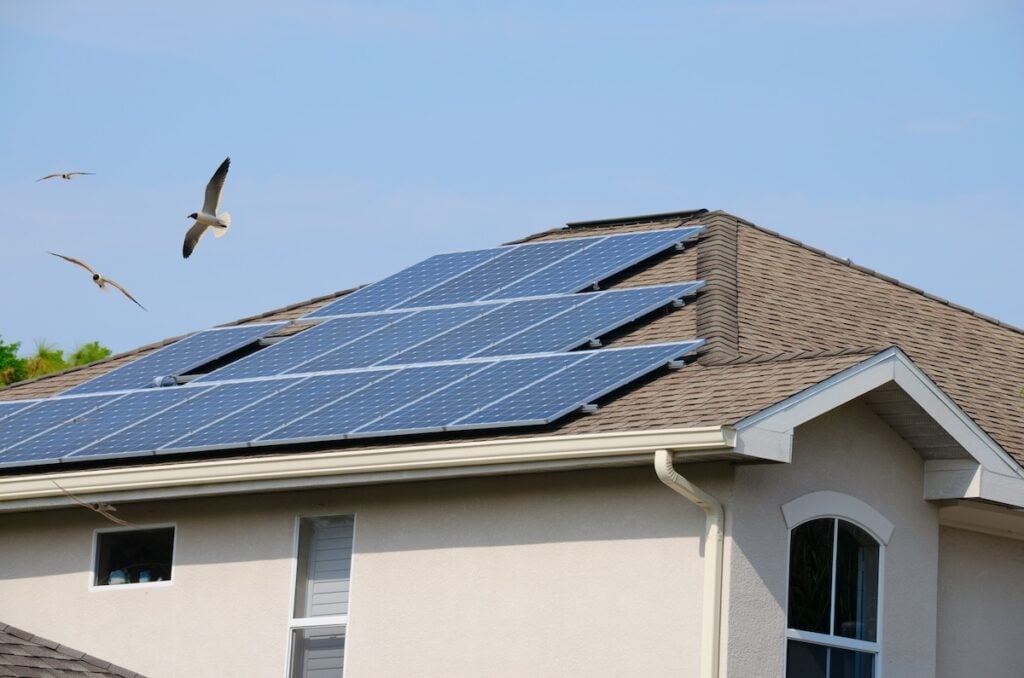 Home exterior showing house roof with rows of electric solar panels with the metaphor of green living being additionally portrayed with the flying birds